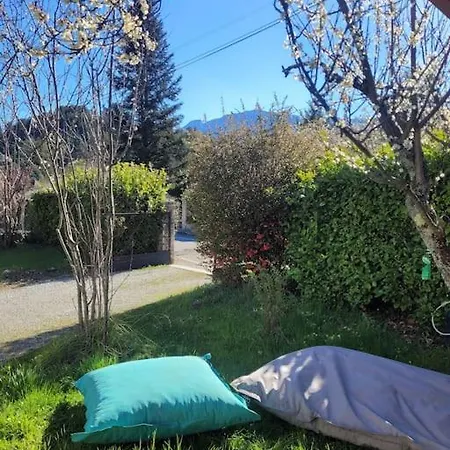 La Maison Jaune Die
